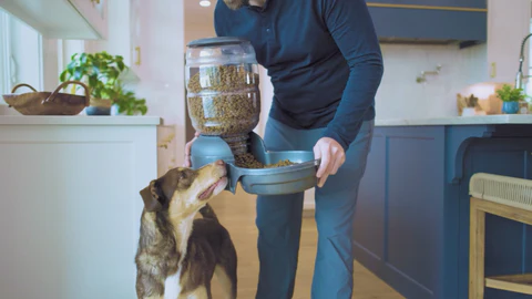 Sixty Years of Pet Excellence